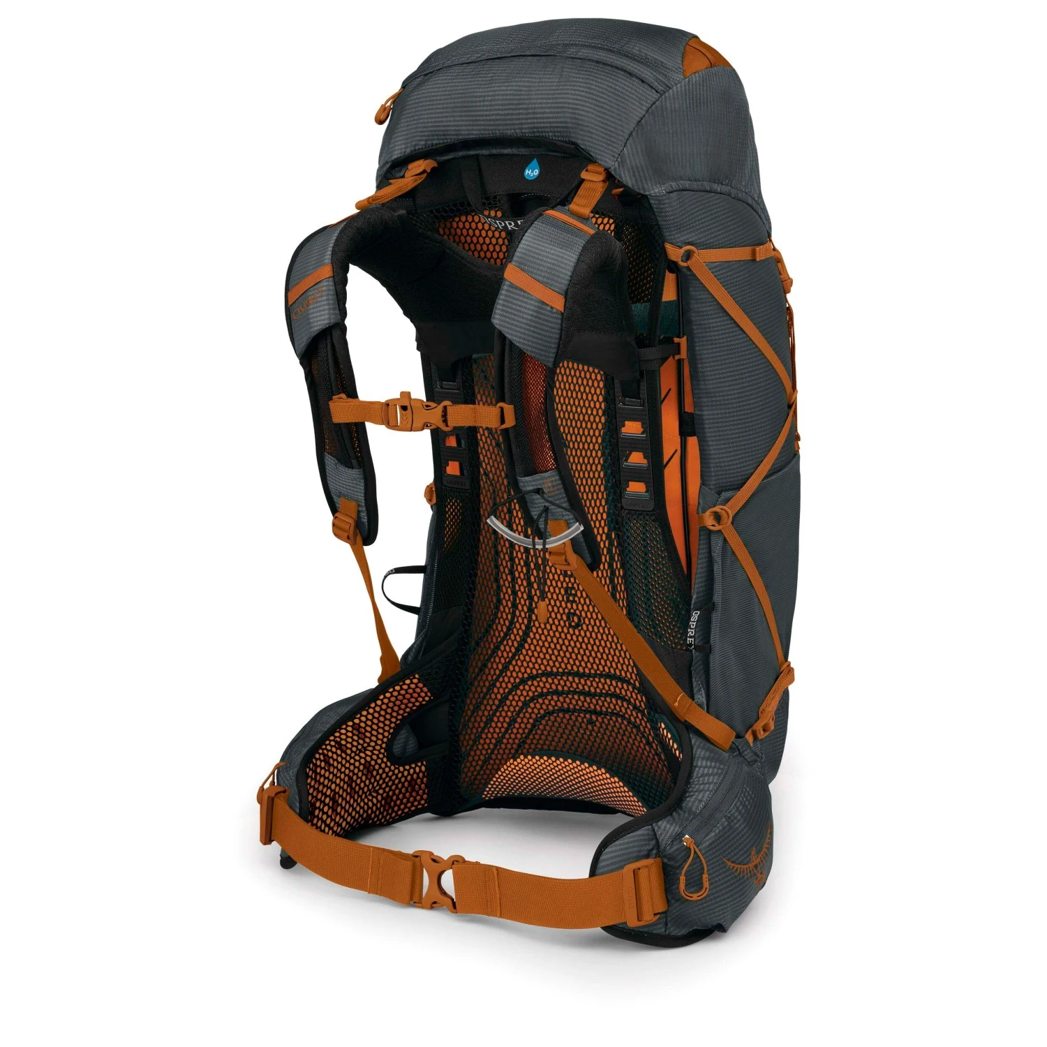 Osprey Exos 38 - Walking Backpack 5 Osprey Exos 38 - Walking Backpack - Image 3